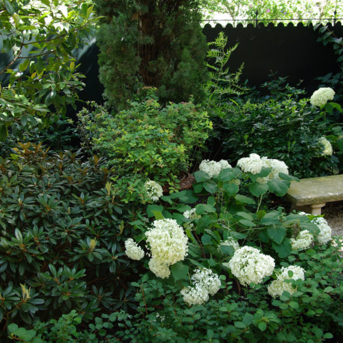 Jardin anglais paysagiste Neuilly Olivia Bochet