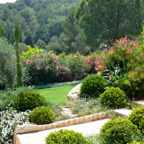 Jardin graphique prestige paysagiste Parc Saint-Tropez Olivia Bochet
